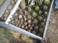 /album/rok-2012/a2012-03-24-14-13-49-jpg/